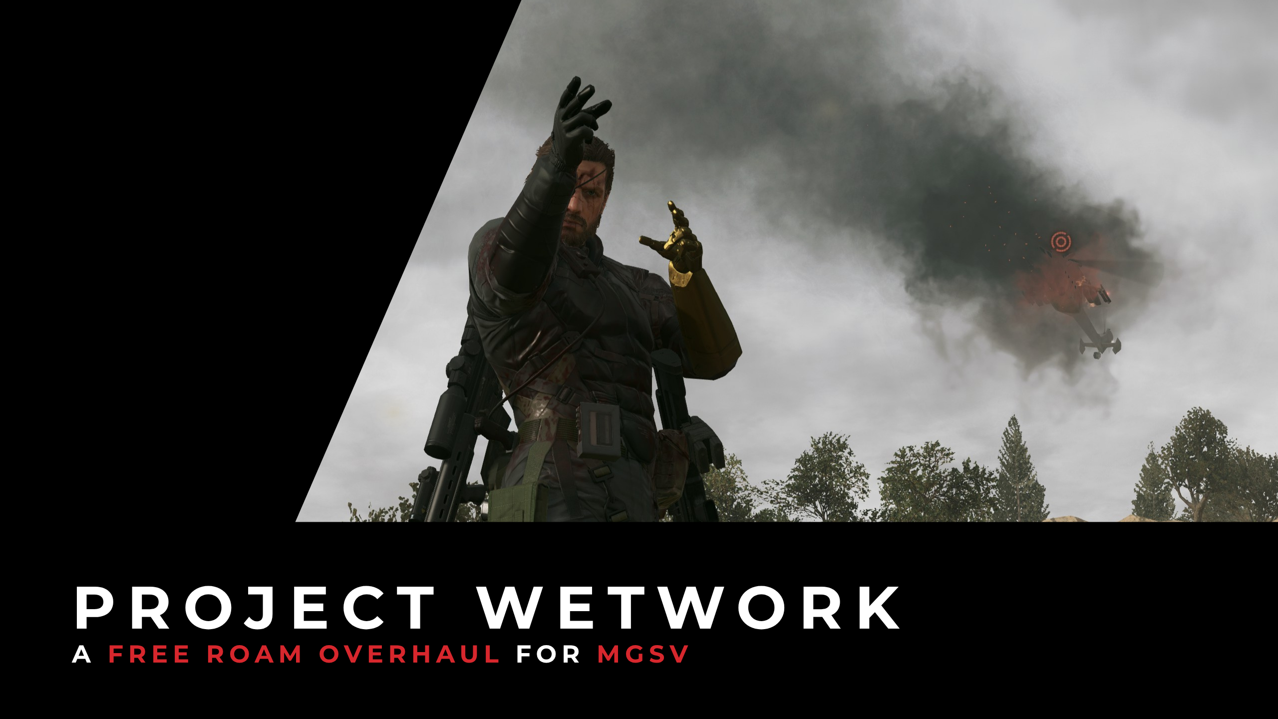 Project Wetwork